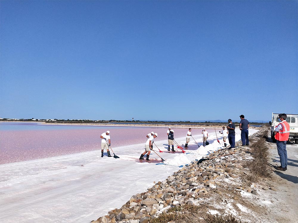  Élisabeth Faure, et sa « Récolte du sel dans les salins d’Aigues Mortes »